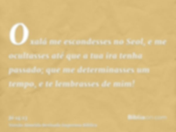 Oxalá me escondesses no Seol, e me ocultasses até que a tua ira tenha passado; que me determinasses um tempo, e te lembrasses de mim!