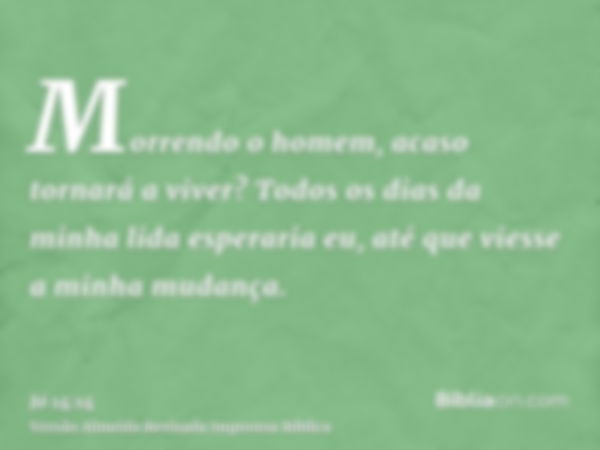 Morrendo o homem, acaso tornará a viver? Todos os dias da minha lida esperaria eu, até que viesse a minha mudança.