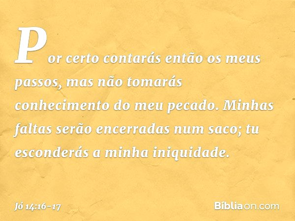 Por certo contarás então
os meus passos,
mas não tomarás conhecimento
do meu pecado. Minhas faltas serão encerradas
num saco;
tu esconderás a minha iniquidade. 