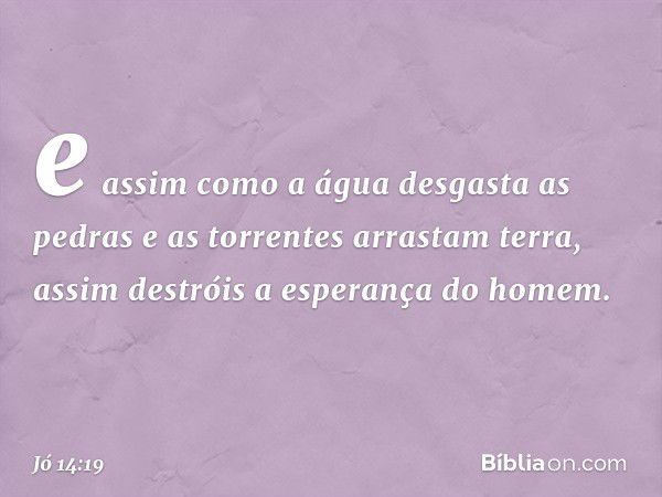 e assim como a água desgasta
as pedras
e as torrentes arrastam terra,
assim destróis a esperança do homem. -- Jó 14:19