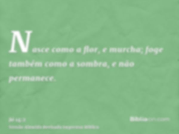 Nasce como a flor, e murcha; foge também como a sombra, e não permanece.