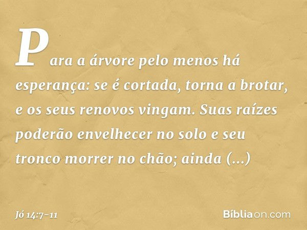 "Para a árvore
pelo menos há esperança:
se é cortada, torna a brotar,
e os seus renovos vingam. Suas raízes poderão envelhecer
no solo
e seu tronco morrer no ch