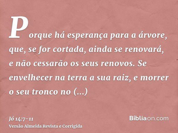 Porque há esperança para a árvore, que, se for cortada, ainda se renovará, e não cessarão os seus renovos.Se envelhecer na terra a sua raiz, e morrer o seu tron