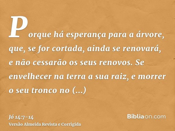 Porque há esperança para a árvore, que, se for cortada, ainda se renovará, e não cessarão os seus renovos.Se envelhecer na terra a sua raiz, e morrer o seu tron