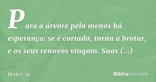 explicação jo 14 7