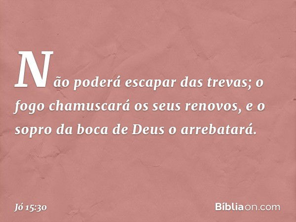 Não poderá escapar das trevas;
o fogo chamuscará os seus renovos,
e o sopro da boca de Deus
o arrebatará. -- Jó 15:30