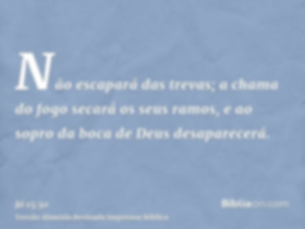 Não escapará das trevas; a chama do fogo secará os seus ramos, e ao sopro da boca de Deus desaparecerá.