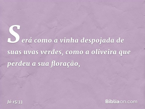 Será como a vinha despojada
de suas uvas verdes,
como a oliveira que perdeu
a sua floração, -- Jó 15:33