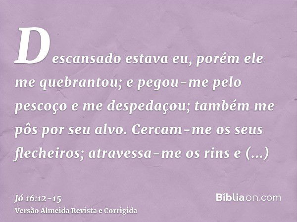 Só percebo que estou correndo quando vejo que estou caindo  I Only Notice  I'm Running When I See I'm Falling - Editora Cobogó