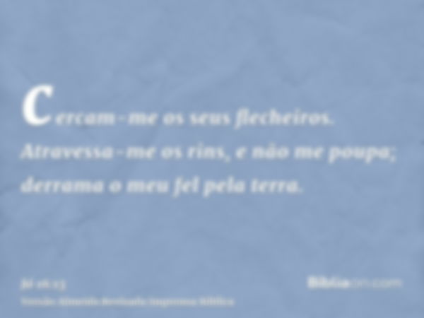 cercam-me os seus flecheiros. Atravessa-me os rins, e não me poupa; derrama o meu fel pela terra.