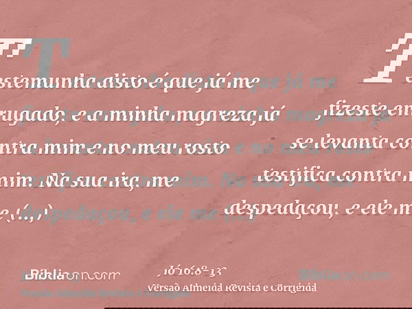Testemunha disto é que já me fizeste enrugado, e a minha magreza já se levanta contra mim e no meu rosto testifica contra mim.Na sua ira, me despedaçou, e ele m