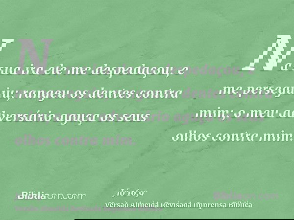 Na sua ira ele me despedaçou, e me perseguiu; rangeu os dentes contra mim; o meu adversário aguça os seus olhos contra mim.