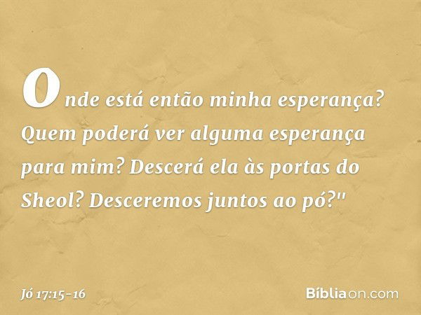 onde está então
minha esperança?
Quem poderá ver
alguma esperança para mim? Descerá ela às portas do Sheol?
Desceremos juntos ao pó?" -- Jó 17:15-16