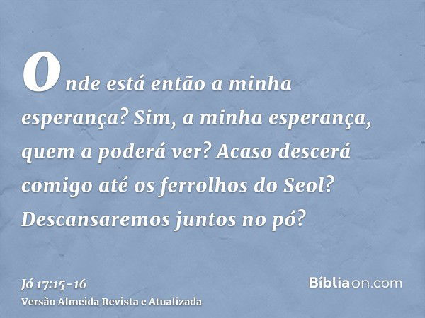 onde está então a minha esperança? Sim, a minha esperança, quem a poderá ver?Acaso descerá comigo até os ferrolhos do Seol? Descansaremos juntos no pó?