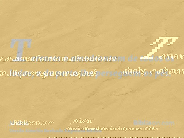 Terrores o amedrontam de todos os lados, e de perto lhe perseguem os pés.