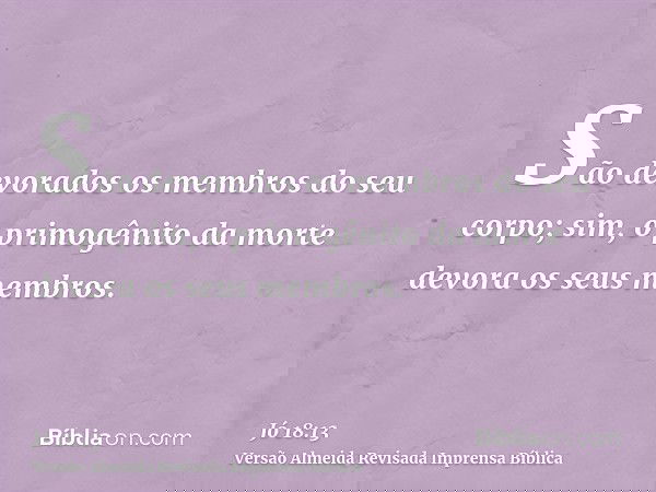 São devorados os membros do seu corpo; sim, o primogênito da morte devora os seus membros.