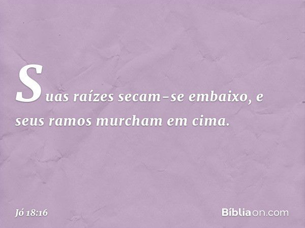 Suas raízes secam-se embaixo,
e seus ramos murcham em cima. -- Jó 18:16