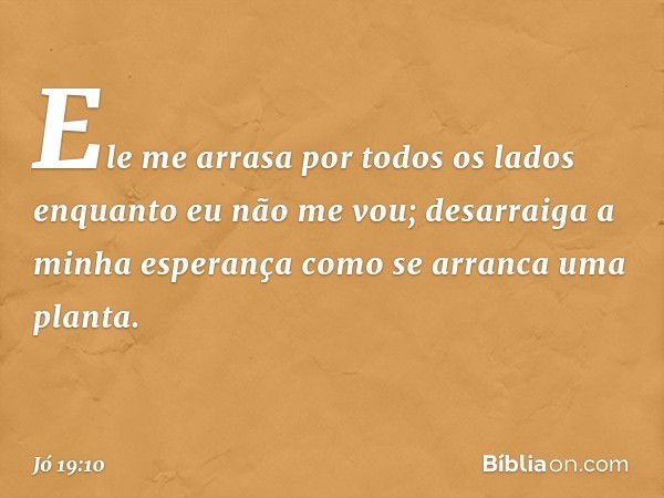 Ele me arrasa por todos os lados
enquanto eu não me vou;
desarraiga a minha esperança
como se arranca uma planta. -- Jó 19:10