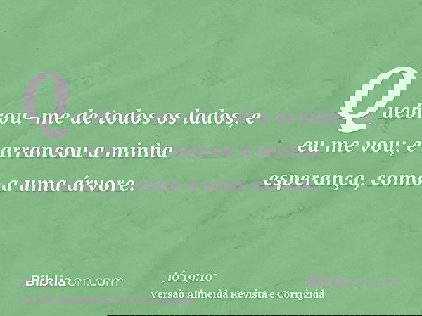 Quebrou-me de todos os lados, e eu me vou; e arrancou a minha esperança, como a uma árvore.