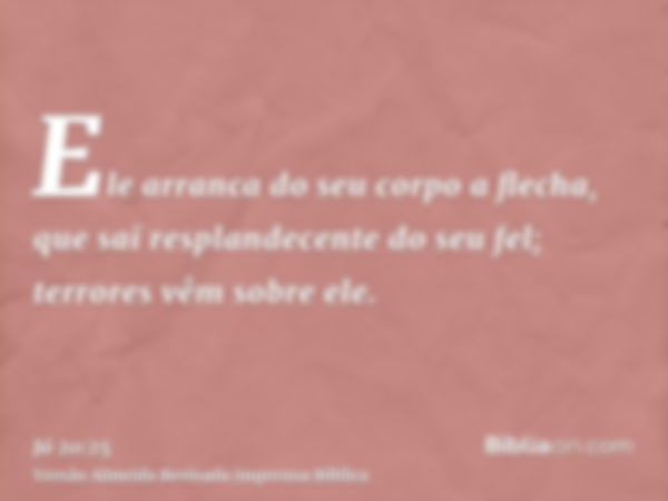 Ele arranca do seu corpo a flecha, que sai resplandecente do seu fel; terrores vêm sobre ele.