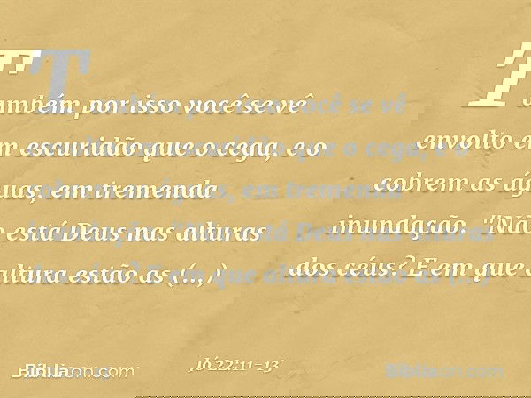 Também por isso você se vê envolto
em escuridão que o cega,
e o cobrem as águas,
em tremenda inundação. "Não está Deus nas alturas dos céus?
E em que altura
est