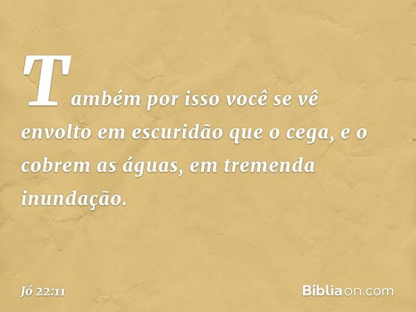 Também por isso você se vê envolto
em escuridão que o cega,
e o cobrem as águas,
em tremenda inundação. -- Jó 22:11