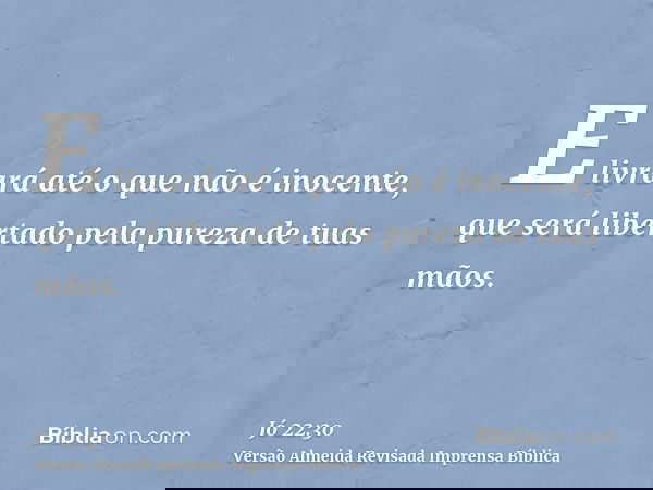 E livrará até o que não é inocente, que será libertado pela pureza de tuas mãos.