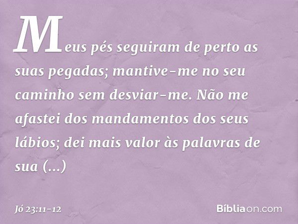 Meus pés seguiram de perto
as suas pegadas;
mantive-me no seu caminho
sem desviar-me. Não me afastei dos mandamentos
dos seus lábios;
dei mais valor às palavras