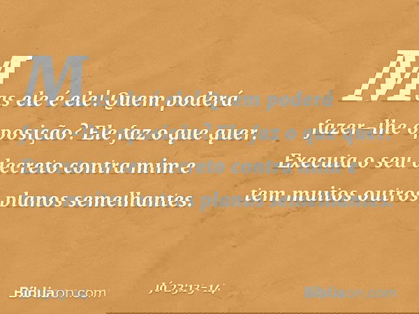 "Mas ele é ele!
Quem poderá fazer-lhe oposição?
Ele faz o que quer. Executa o seu decreto contra mim
e tem muitos outros planos semelhantes. -- Jó 23:13-14