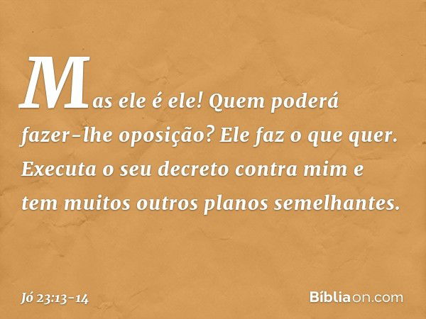 "Mas ele é ele!
Quem poderá fazer-lhe oposição?
Ele faz o que quer. Executa o seu decreto contra mim
e tem muitos outros planos semelhantes. -- Jó 23:13-14