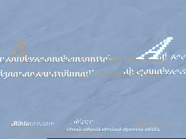 Ah, se eu soubesse onde encontrá-lo, e pudesse chegar ao seu tribunal!