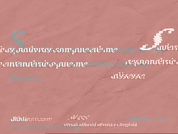 Saberia as palavras com que ele me responderia e entenderia o que me dissesse.