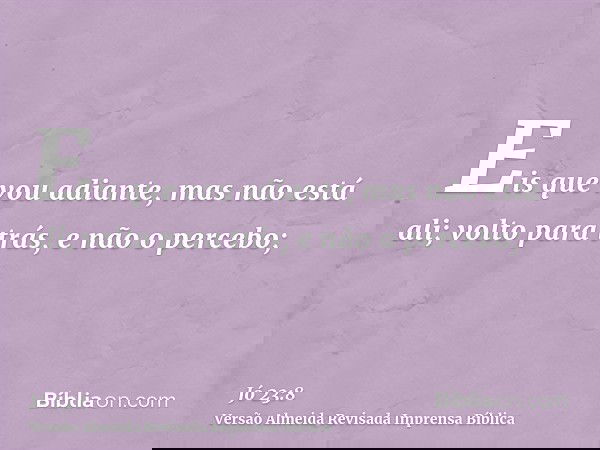 Eis que vou adiante, mas não está ali; volto para trás, e não o percebo;