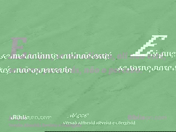 Eis que, se me adianto, ali não está; se torno para trás, não o percebo.