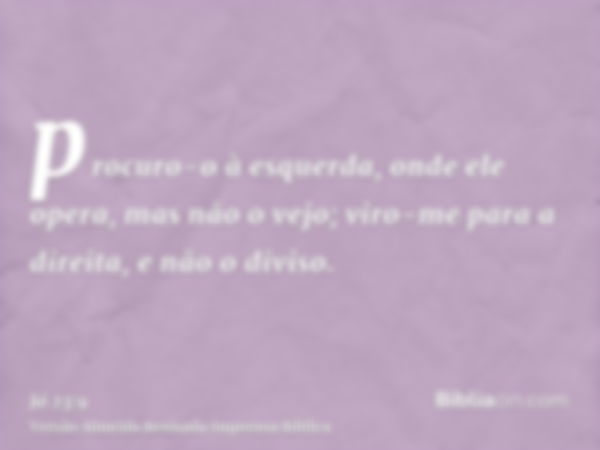 procuro-o à esquerda, onde ele opera, mas não o vejo; viro-me para a direita, e não o diviso.