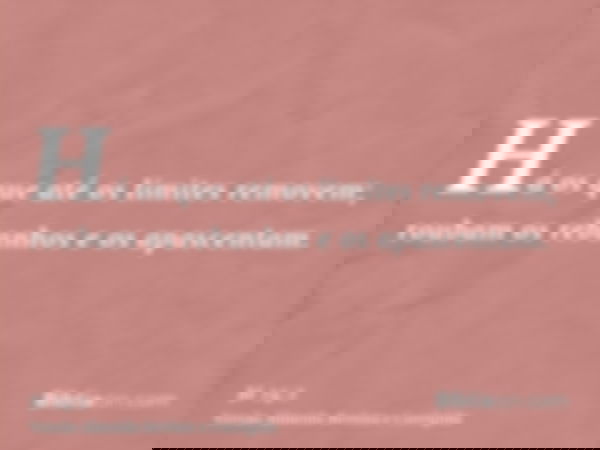 Há os que até os limites removem; roubam os rebanhos e os apascentam.