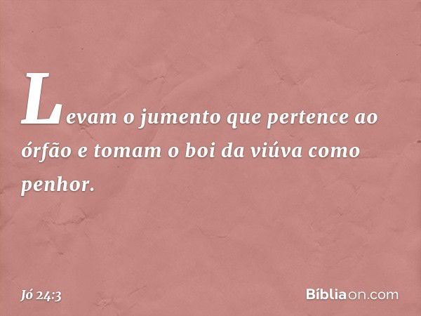 Levam o jumento
que pertence ao órfão
e tomam o boi da viúva como penhor. -- Jó 24:3