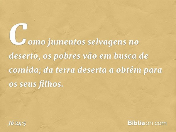 Como jumentos selvagens no deserto,
os pobres vão em busca de comida;
da terra deserta a obtêm
para os seus filhos. -- Jó 24:5