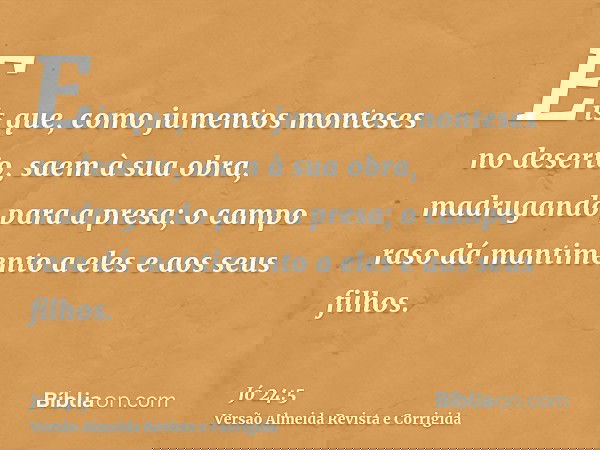 Eis que, como jumentos monteses no deserto, saem à sua obra, madrugando para a presa; o campo raso dá mantimento a eles e aos seus filhos.