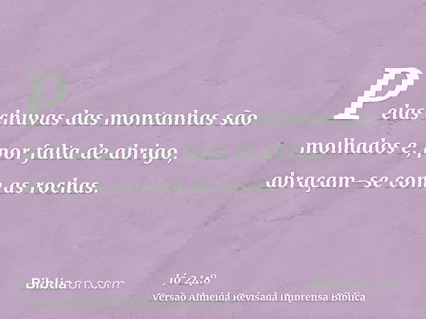 Pelas chuvas das montanhas são molhados e, por falta de abrigo, abraçam-se com as rochas.