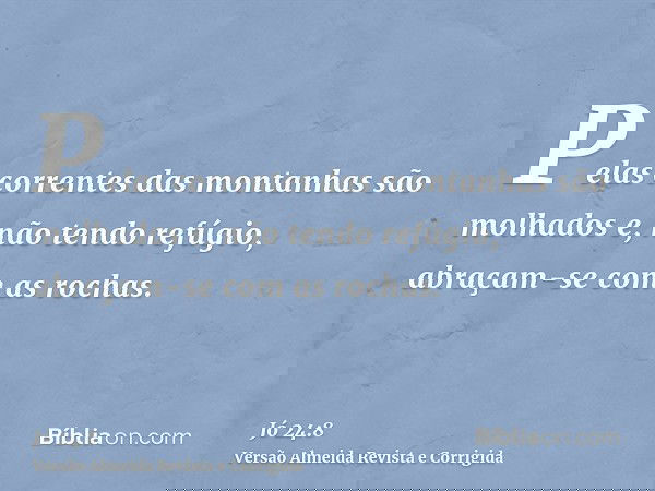 Pelas correntes das montanhas são molhados e, não tendo refúgio, abraçam-se com as rochas.