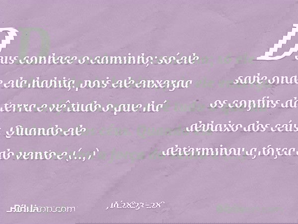 Deus conhece o caminho;
só ele sabe onde ela habita, pois ele enxerga os confins da terra
e vê tudo o que há debaixo dos céus. Quando ele determinou
a força do