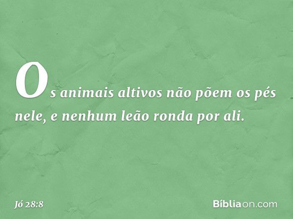 Os animais altivos
não põem os pés nele,
e nenhum leão ronda por ali. -- Jó 28:8