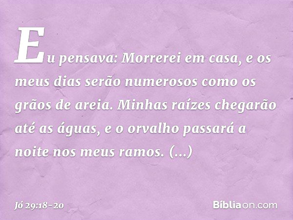 "Eu pensava: Morrerei em casa,
e os meus dias serão numerosos
como os grãos de areia. Minhas raízes chegarão até as águas,
e o orvalho passará a noite
nos meus 