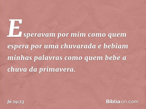 Esperavam por mim
como quem espera
por uma chuvarada
e bebiam minhas palavras
como quem bebe a chuva
da primavera. -- Jó 29:23