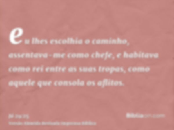 eu lhes escolhia o caminho, assentava-me como chefe, e habitava como rei entre as suas tropas, como aquele que consola os aflitos.