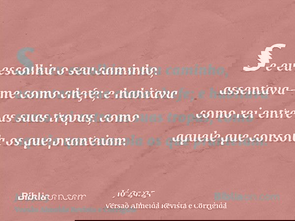 se eu escolhia o seu caminho, assentava-me como chefe; e habitava como rei entre as suas tropas, como aquele que consola os que pranteiam.
