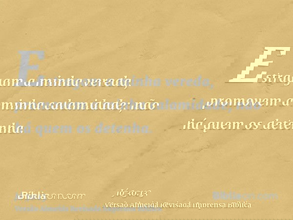 Estragam a minha vereda, promovem a minha calamidade; não há quem os detenha.