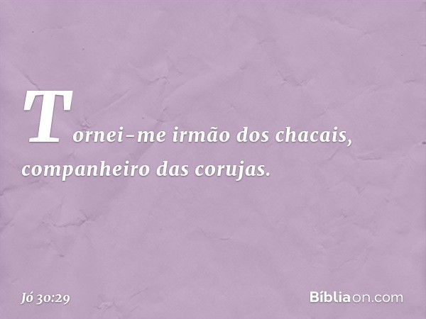 Tornei-me irmão dos chacais,
companheiro das corujas. -- Jó 30:29