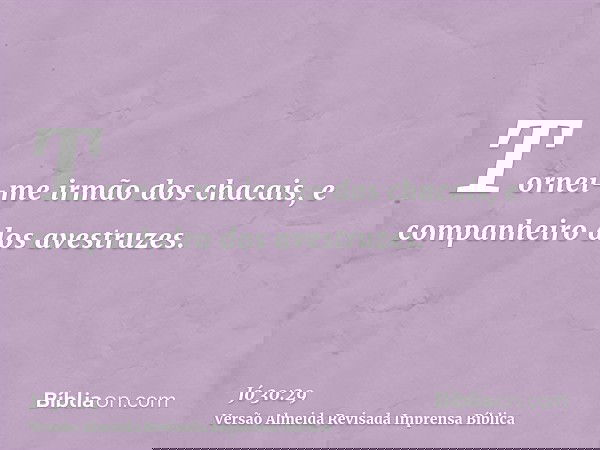 Tornei-me irmão dos chacais, e companheiro dos avestruzes.